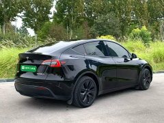 Tesla Model Y Rear-Wheel Drive - ფოტო 6