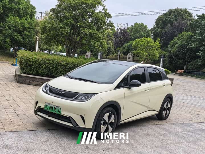 BYD Dolphin Honor Edition 420km Fashion Edition