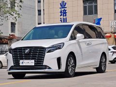 Buick GL8 ES Luxun Luxury Edition - ფოტო 1
