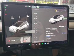 Tesla Model 3 Standard Range RWD Upgrade - ფოტო 11
