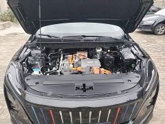FAW Red Flag E-QM5 Plug-in Hybrid Flagship Comfort Edition - ფოტო 19