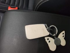 Volkswagen Magotan 280TSI DSG Comfort - ფოტო 8