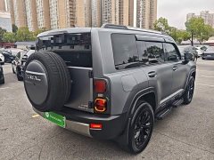 Haval Manlong New Energy Hi4 145 Adventure Edition - ფოტო 6