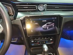 Volkswagen Magotan 330TSI DSG Luxury - ფოტო 12