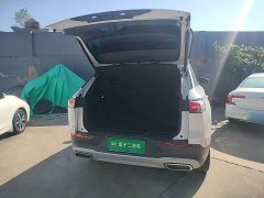 Volkswagen Lanxun 330TSI Luxury Touring Edition - ფოტო 14