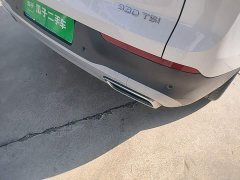 Volkswagen Lanxun 330TSI Luxury Touring Edition - ფოტო 20