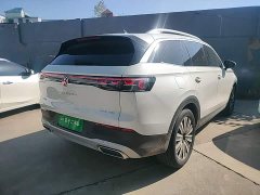 Volkswagen Lanxun 330TSI Luxury Touring Edition - ფოტო 4