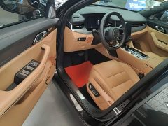 Lynk & Co 09 EM-P 2.0T Diesel EM-P AWD Asian Games Executive Edition 5-Seater - ფოტო 15