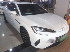 BYD Seal DM-i 1.5L 121km Luxury - ფოტო 3