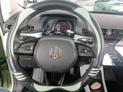 Leapmotor Leapo T03 Radiant Gold Edition - ფოტო 10