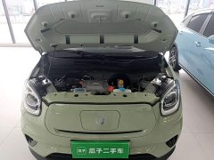 Leapmotor Leapo T03 Radiant Gold Edition - ფოტო 19