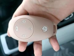 Leapmotor Leapo T03 Radiant Gold Edition - ფოტო 8