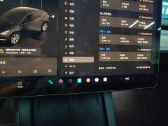 Tesla Model Y Facelift Rear-Wheel Drive - ფოტო 11