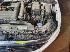 Volkswagen Lavida 280TSI DSG Comfort - ფოტო 19