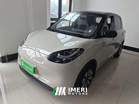 2024 Wuling Binguo 333km Joy Edition - car from China