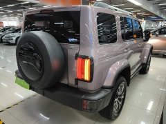 Tank 300 City Edition 2.0T Stylish - photo 6