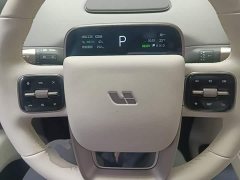 Li Auto i8 Standard Edition - фото 10