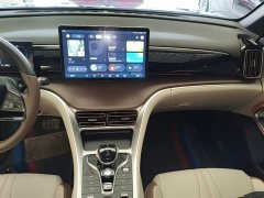 BYD Song Pro New Energy DM-i 51km Premium - ფოტო 12