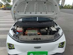 Geely Geometry E Firefly 320KM Cute Tiger 5-Seater - photo 19