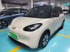Wuling Binguo 333km Joy Edition - photo 1