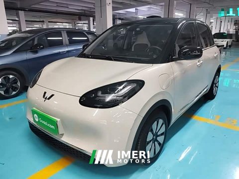2024 Wuling Binguo 333km Joy Edition - car from China