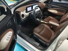 Wuling Binguo 333km Joy Edition - photo 15