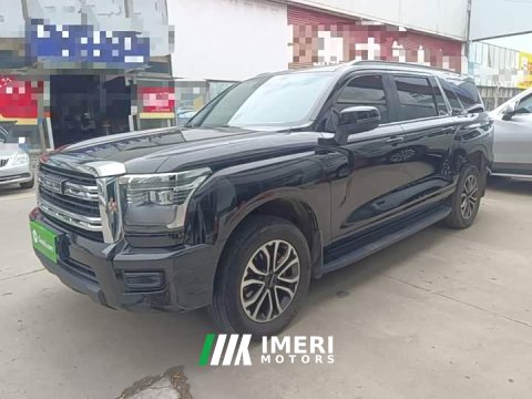 2024 Haval H5 2.0T Automatic Four-Wheel Drive Leading Creator Diesel - car from China