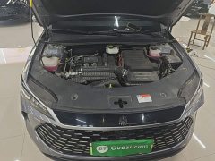 BYD Qin PLUS DM-i Smart Driving Edition 120KM Excellence - photo 15