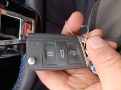 Volkswagen Golf Pure Electric Chi - ფოტო 8