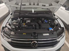 Volkswagen Tiguan L Outstanding Edition 300TSI Automatic FWD Dragon Ascendant Version - ფოტო 19