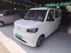 Wuling Zhiguang New Energy 305km Aspiring Edition - photo 1
