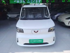 Wuling Zhiguang New Energy 305km Aspiring Edition - photo 2