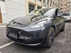 Tesla Model Y Rear-Wheel Drive - фото 1