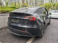 Tesla Model Y Rear-Wheel Drive - фото 6