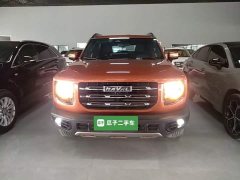 Great Wall Dachshund 1.5T DCT Two-Wheel Drive Border Collie Edition - ფოტო 2