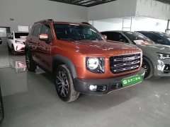 Great Wall Dachshund 1.5T DCT Two-Wheel Drive Border Collie Edition - ფოტო 3