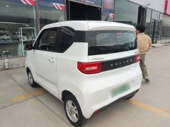 Wuling Hongguang MINIEV Deluxe Edition LFP Battery - ფოტო 4