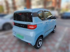 Wuling Hongguang MINIEV Easy Edition LFP Battery - ფოტო 9