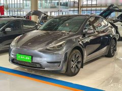 Tesla Model Y Rear-Wheel Drive - фото 1
