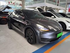 Tesla Model Y Rear-Wheel Drive - фото 3