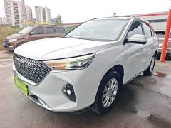 Haval M6 PLUS 1.5T DCT Luxury Smart Connected Edition - ფოტო 1