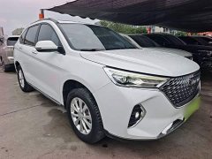 Haval M6 PLUS 1.5T DCT Luxury Smart Connected Edition - ფოტო 3