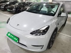 Tesla Model Y Performance All-Wheel Drive - photo 1