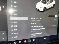 Tesla Model Y Performance All-Wheel Drive - photo 11