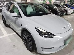Tesla Model Y Performance All-Wheel Drive - photo 3