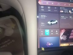 IM Motors Zhiji L6 Max Standard Edition - photo 11