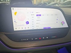 FAW Hongqi Tiangong 08 730 Max RWD Version - ფოტო 12