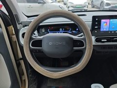 Geely Panda Mini 210km Vitality Edition - ფოტო 10