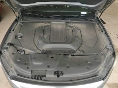 BYD Qin PLUS Glory Edition EV 420KM Leading - ფოტო 19