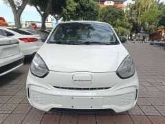 SAIC Corey Wei CLEVER 302km All-Purpose Edition - ფოტო 2